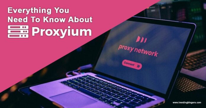 What is Proxiyum? Proxyium’s Key Features